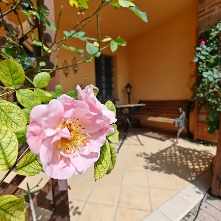 بيت للعطل Monferrato